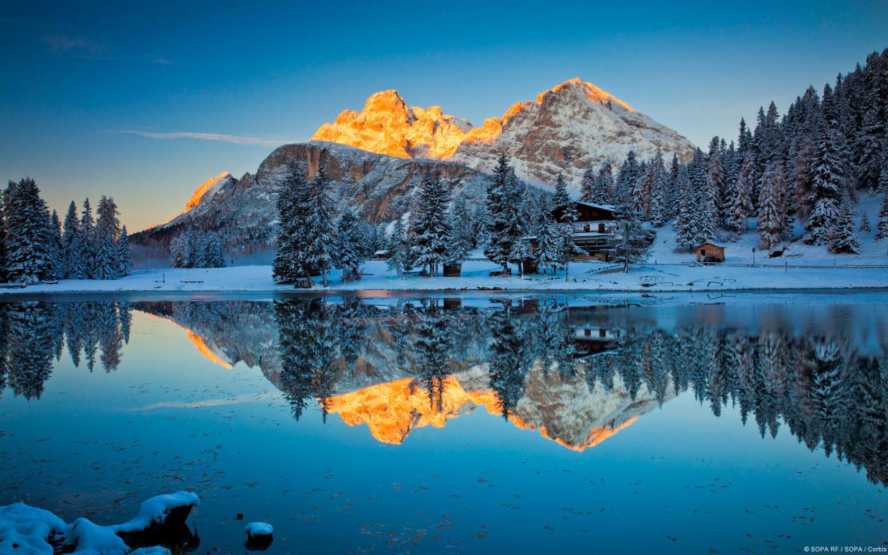 Taurine Pictures | Download Free Images on Unsplash Taurine Pictures | Download Free Images on Unsplash